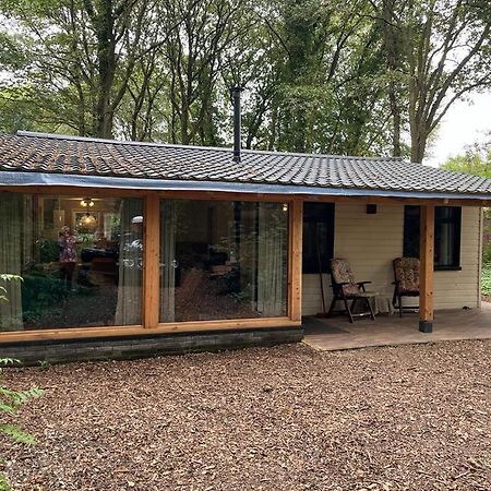 Huisje In Het Bos 泽伊德拉伦 外观 照片