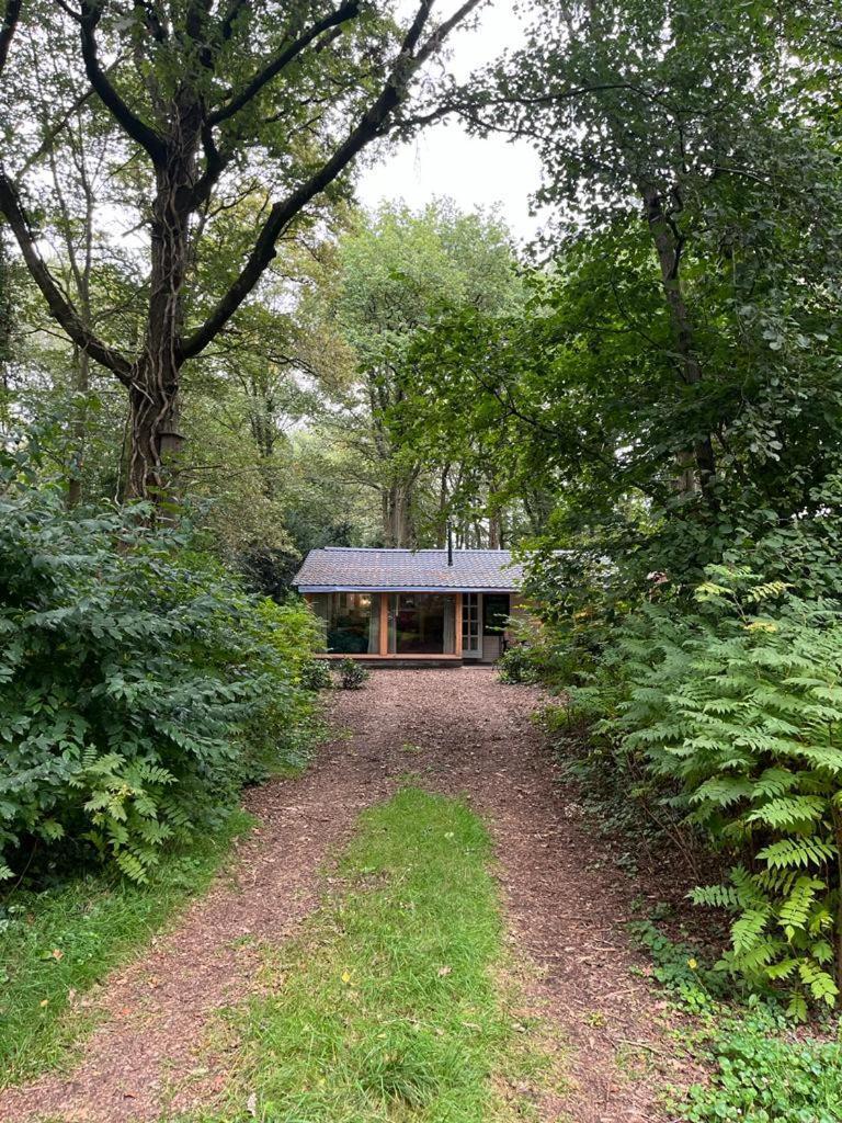 Huisje In Het Bos 泽伊德拉伦 外观 照片